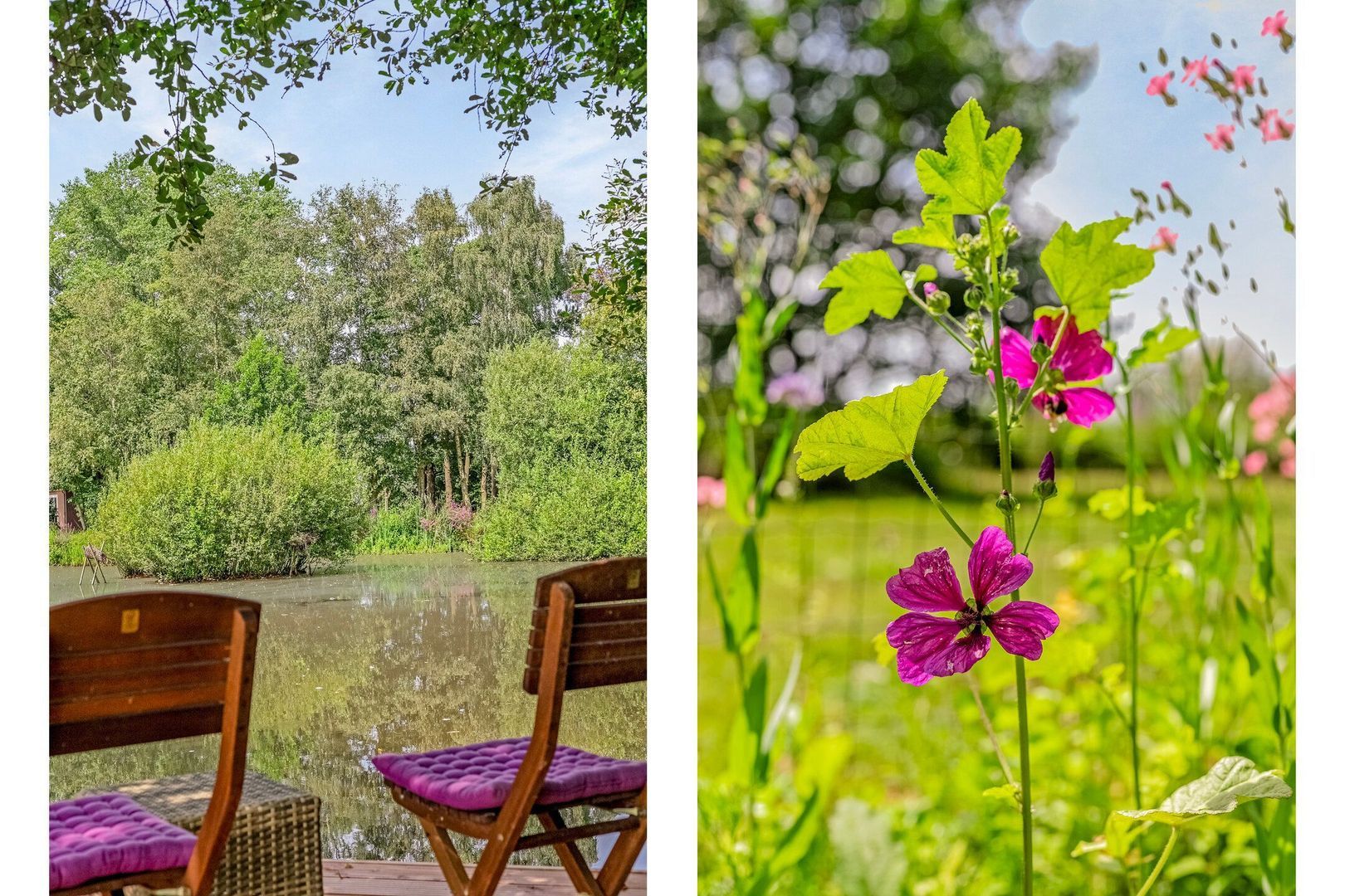 Riegshoogtendijk 176, Hollandscheveld foto-61