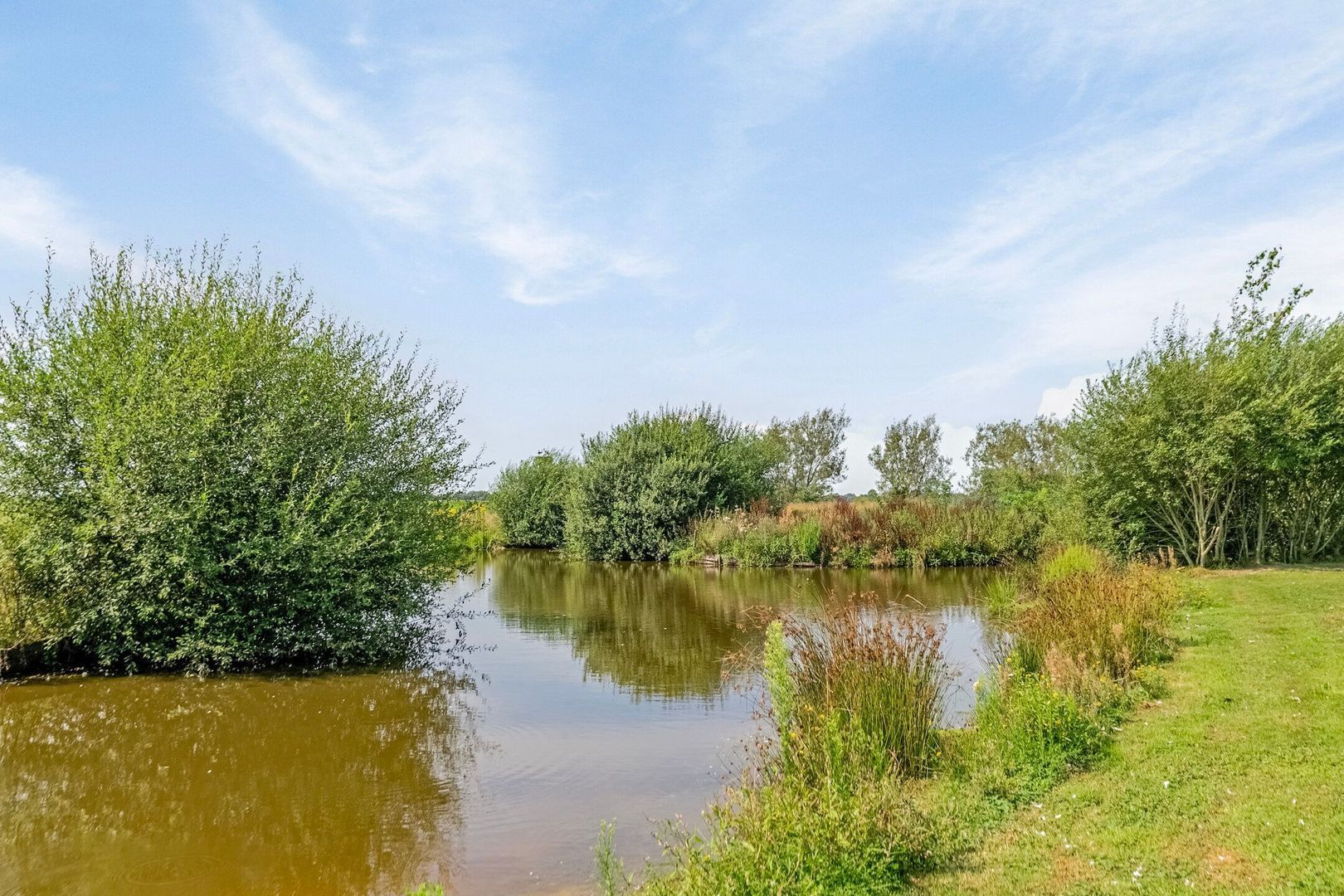 Riegshoogtendijk 176, Hollandscheveld foto-52