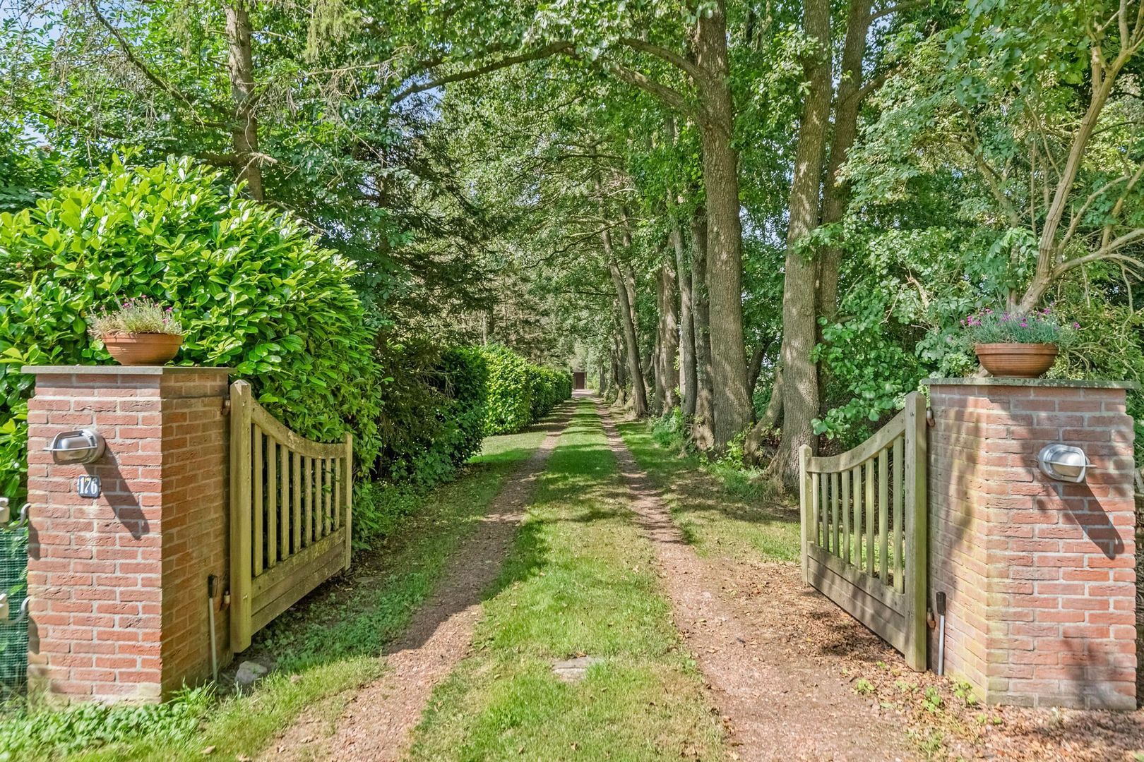 Riegshoogtendijk 176, Hollandscheveld foto-7