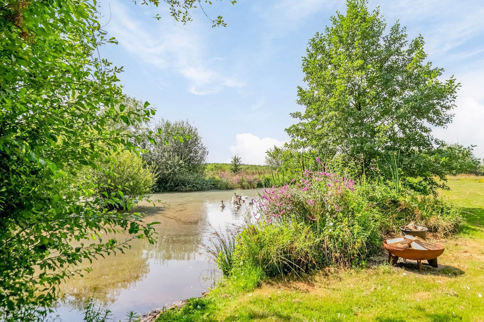 Riegshoogtendijk 176, Hollandscheveld foto-63