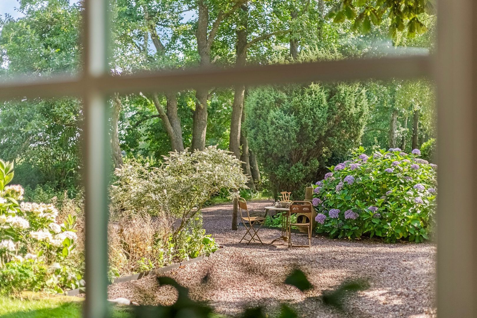 Riegshoogtendijk 176, Hollandscheveld foto-34