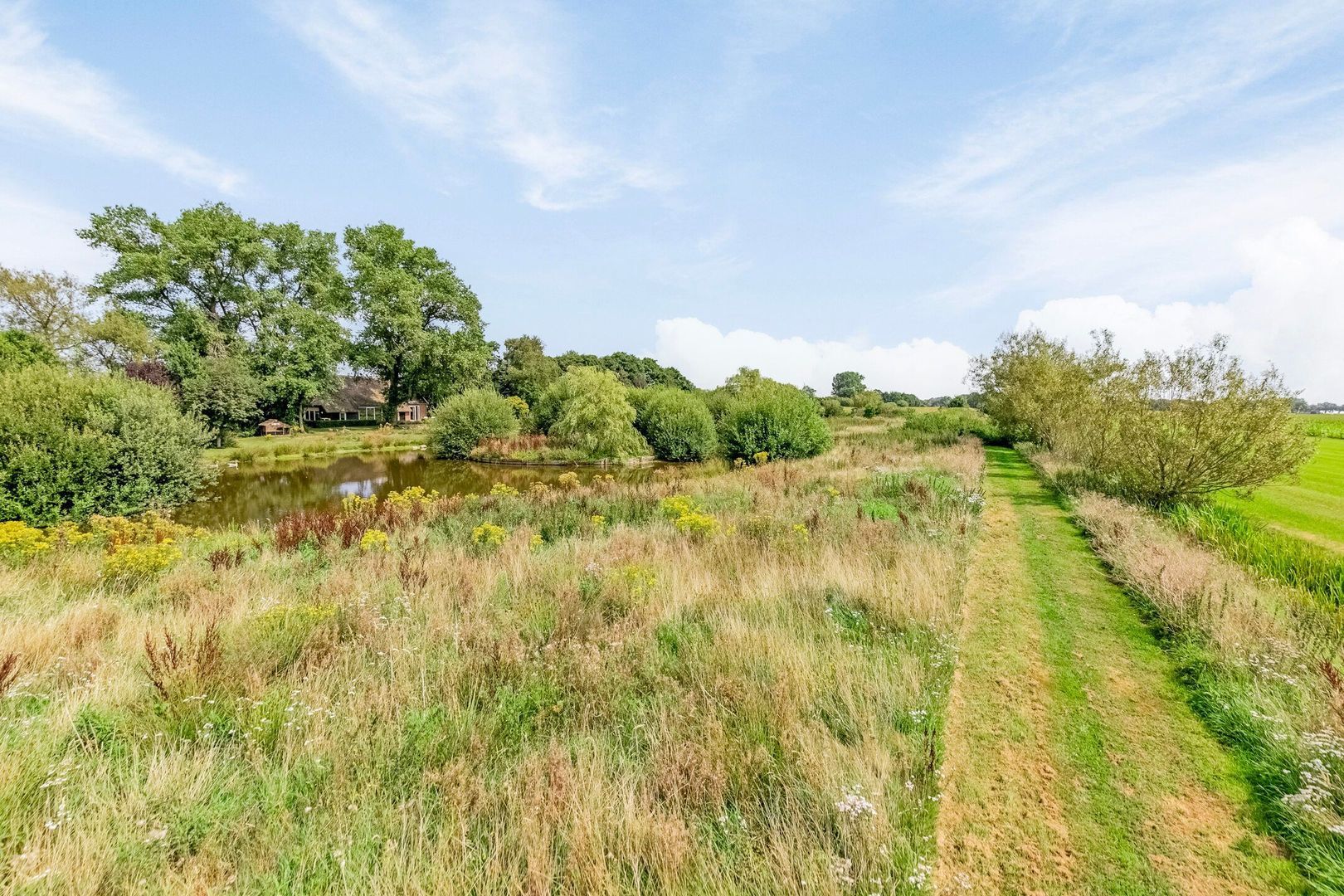 Riegshoogtendijk 176, Hollandscheveld foto-69