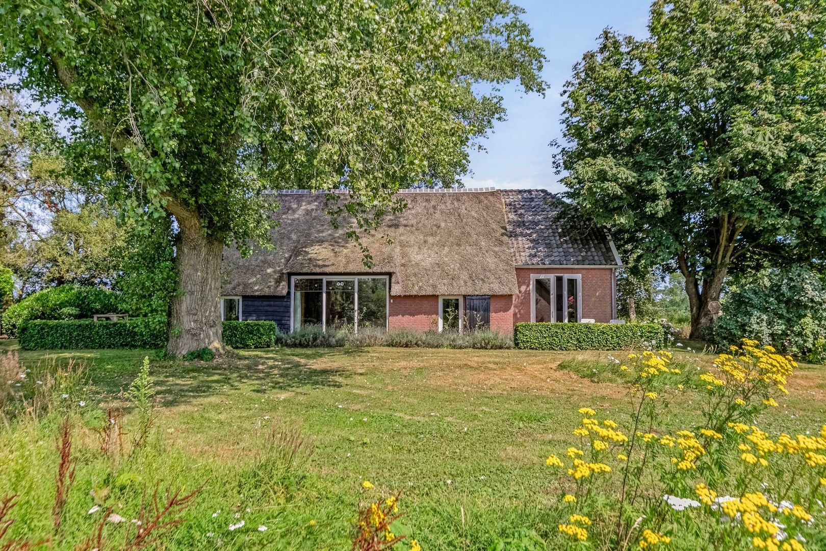 Riegshoogtendijk 176, Hollandscheveld foto-4