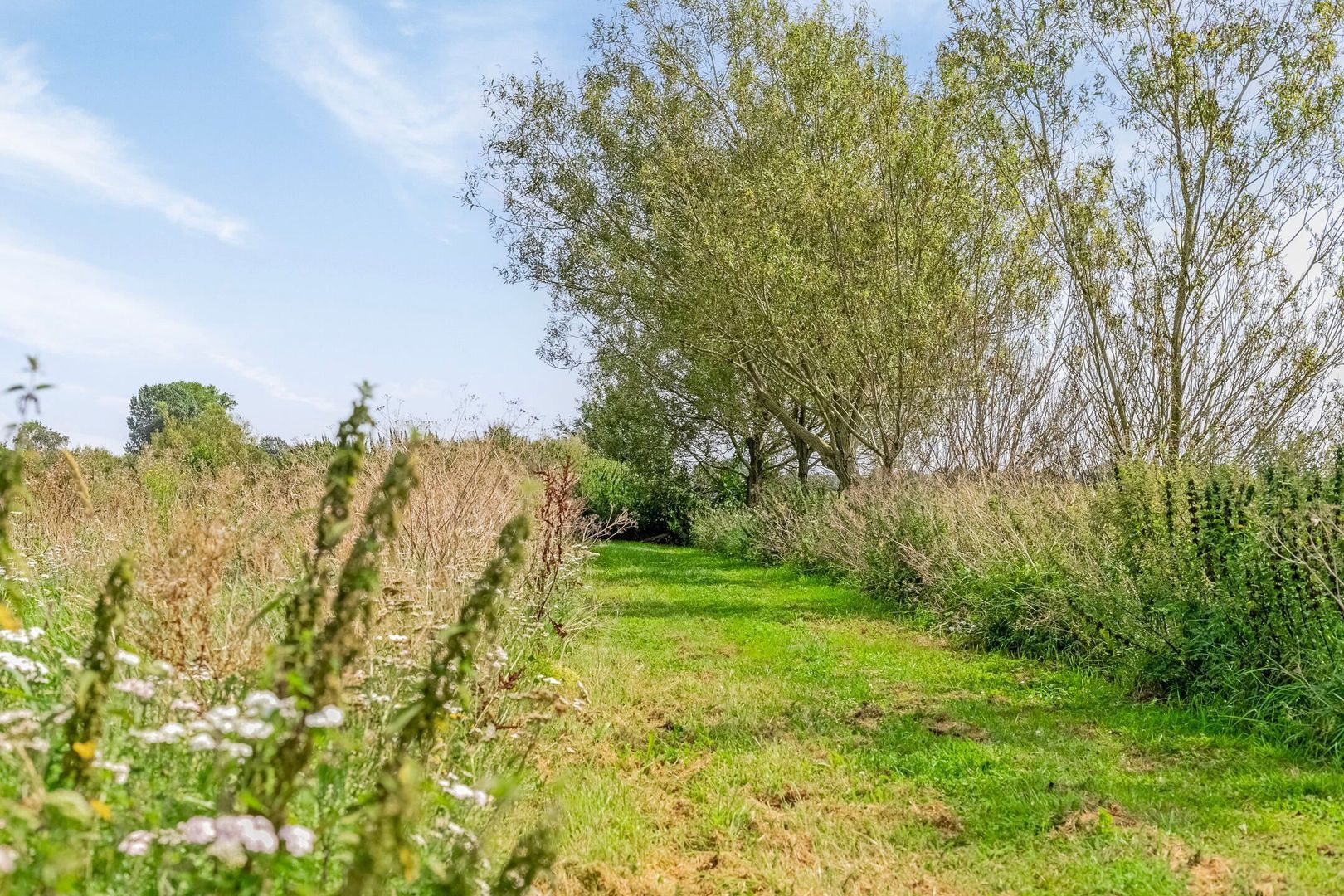 Riegshoogtendijk 176, Hollandscheveld foto-68
