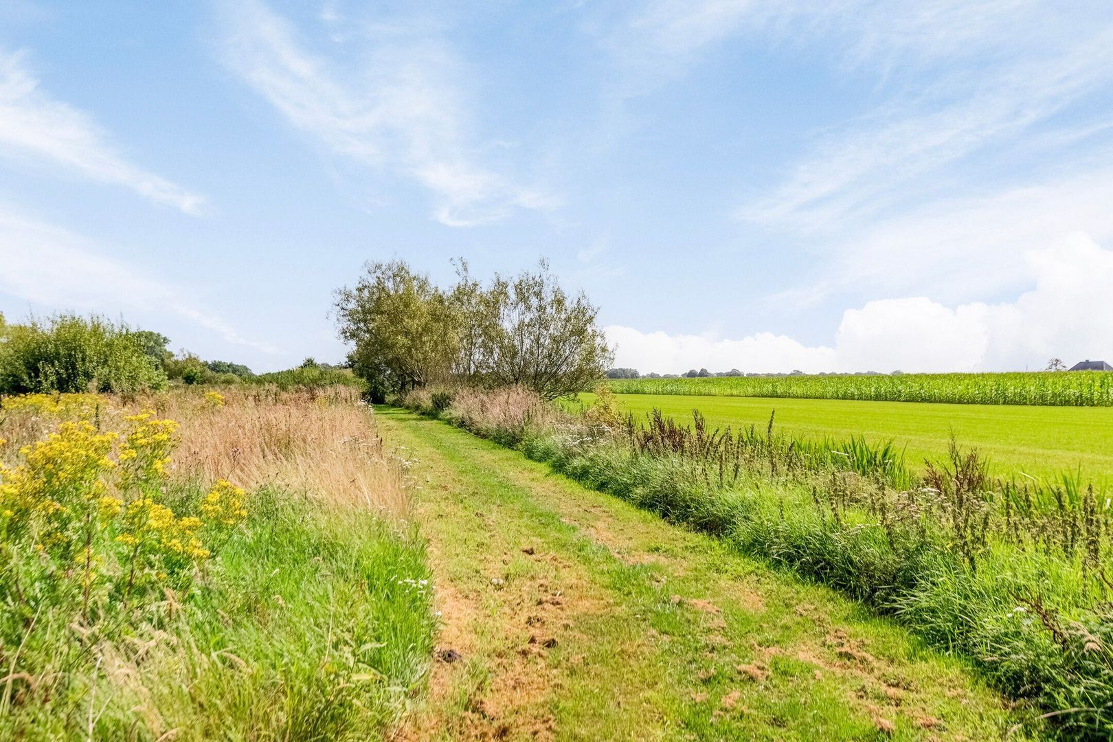 Riegshoogtendijk 176, Hollandscheveld foto-59