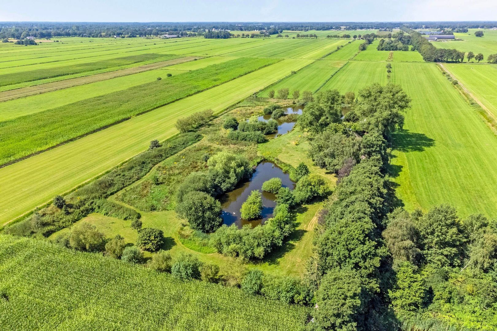 Riegshoogtendijk 176, Hollandscheveld foto-73