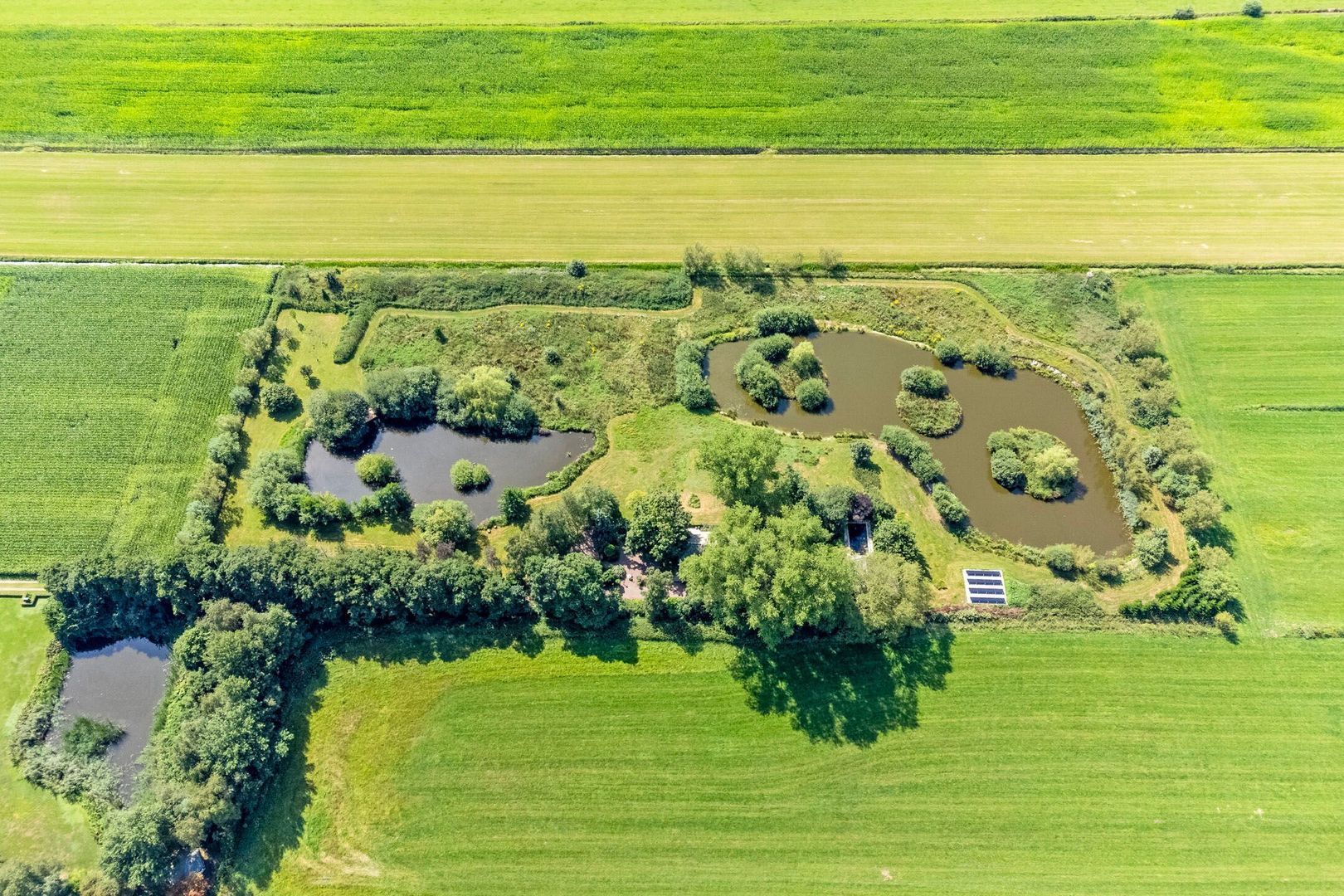 Riegshoogtendijk 176, Hollandscheveld foto-5