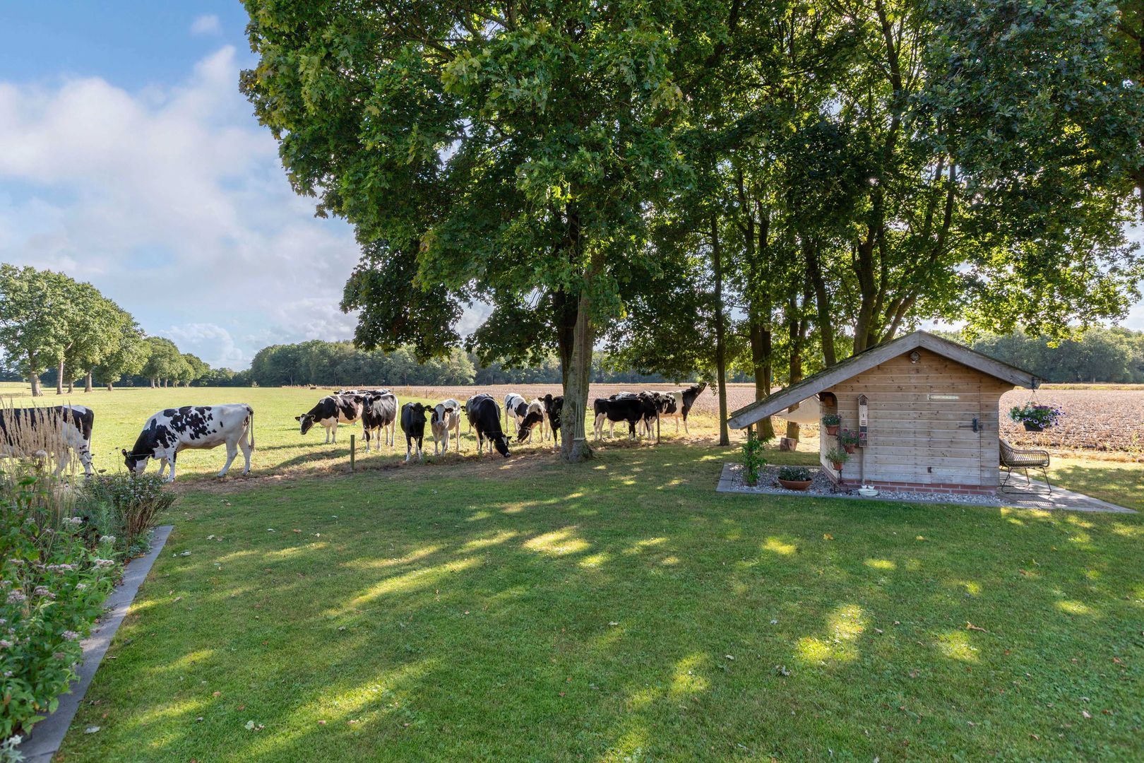 Overburen 17, Peperga foto-55