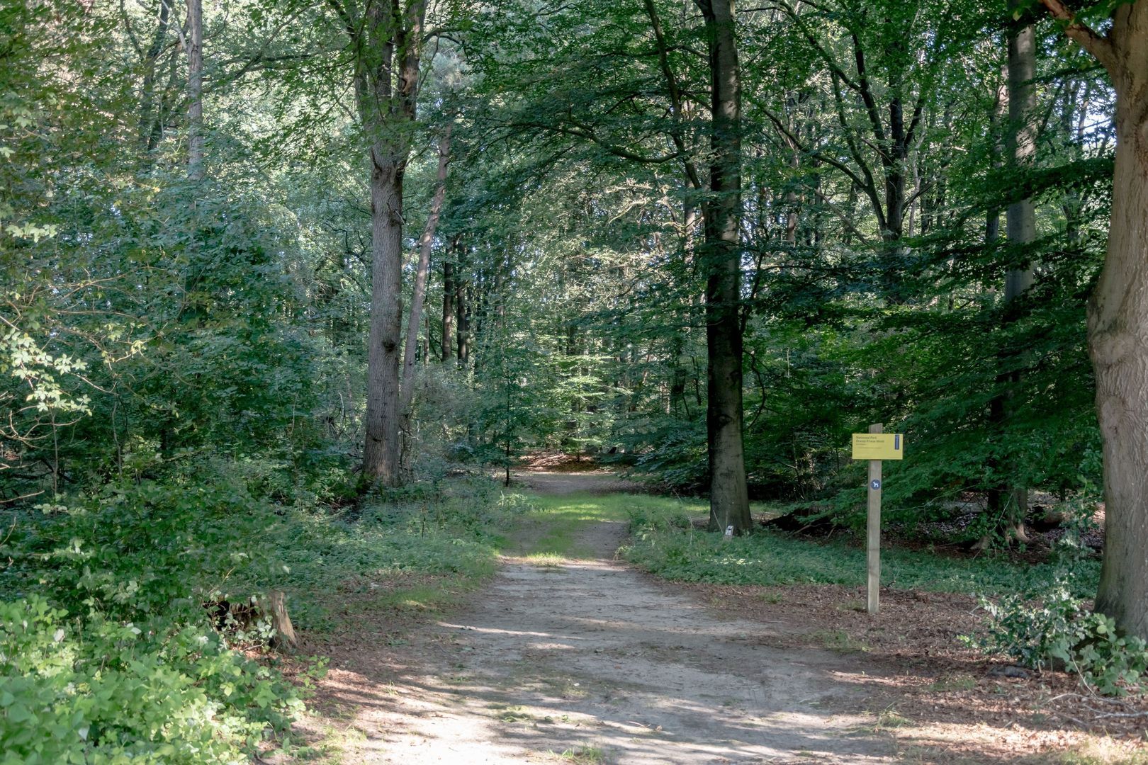 Pucklaan 13, Diever foto-7