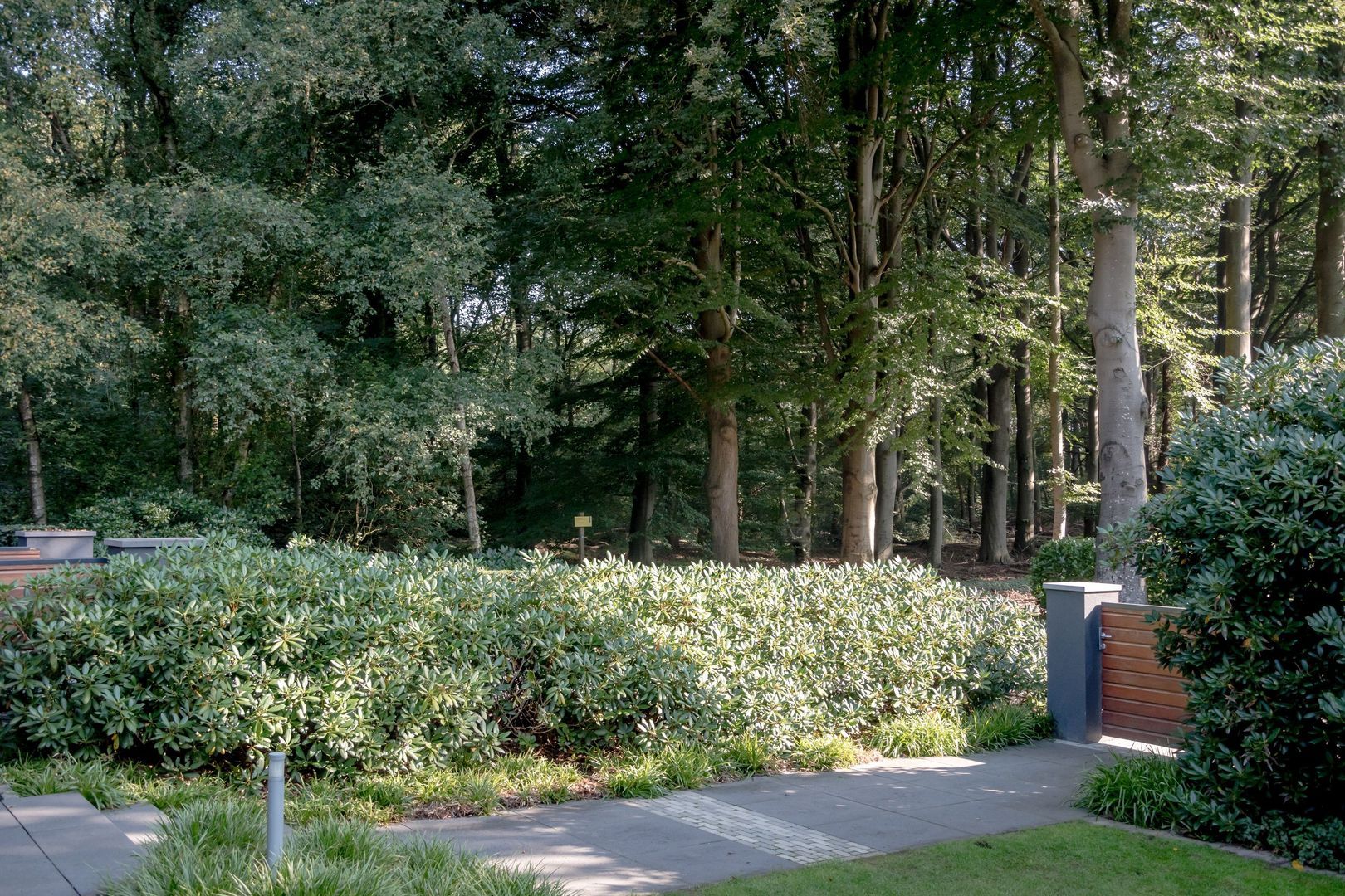 Pucklaan 13, Diever foto-8