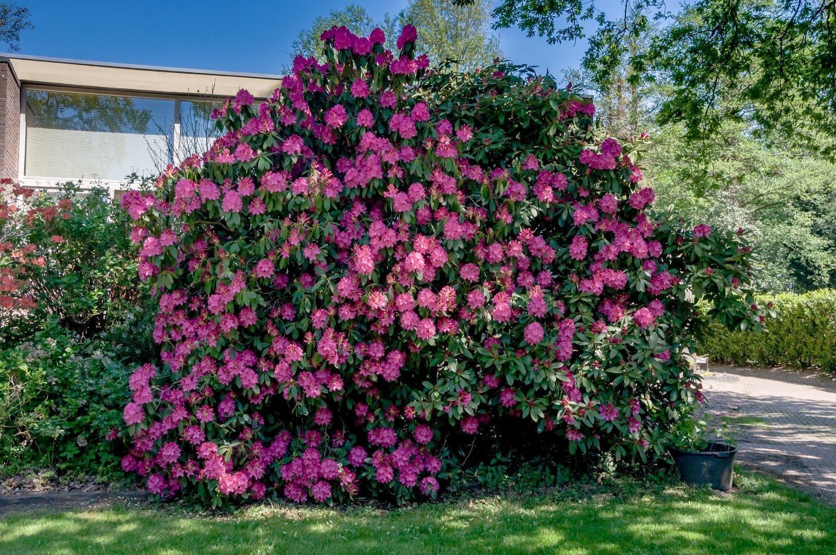 Dwingelderdijk 1, Dwingeloo foto-14