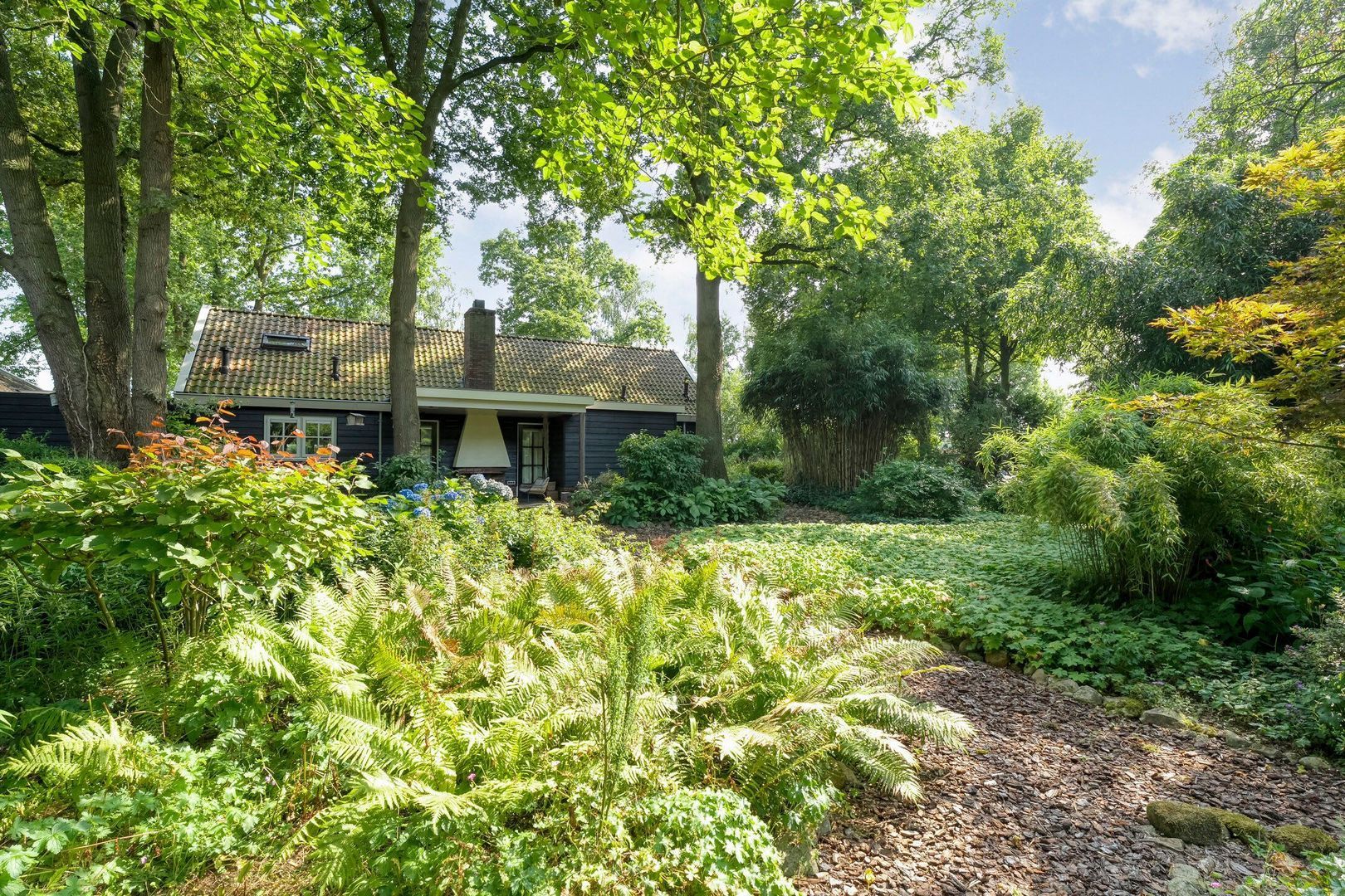 De Weidenweg 70, Ruinerwold foto-80