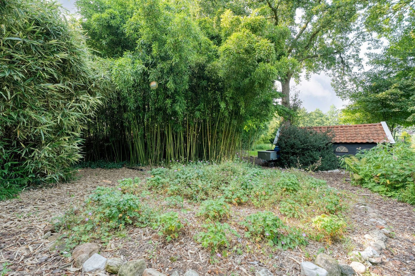 De Weidenweg 70, Ruinerwold foto-83