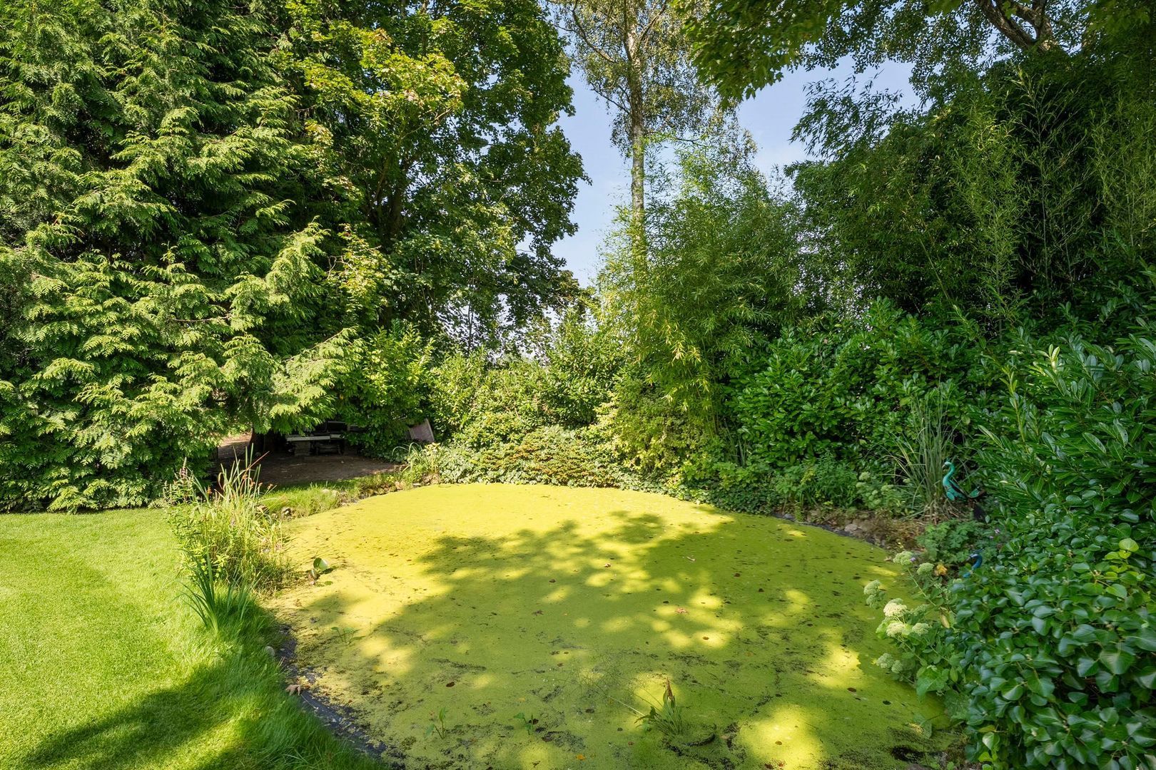 De Weidenweg 70, Ruinerwold foto-67