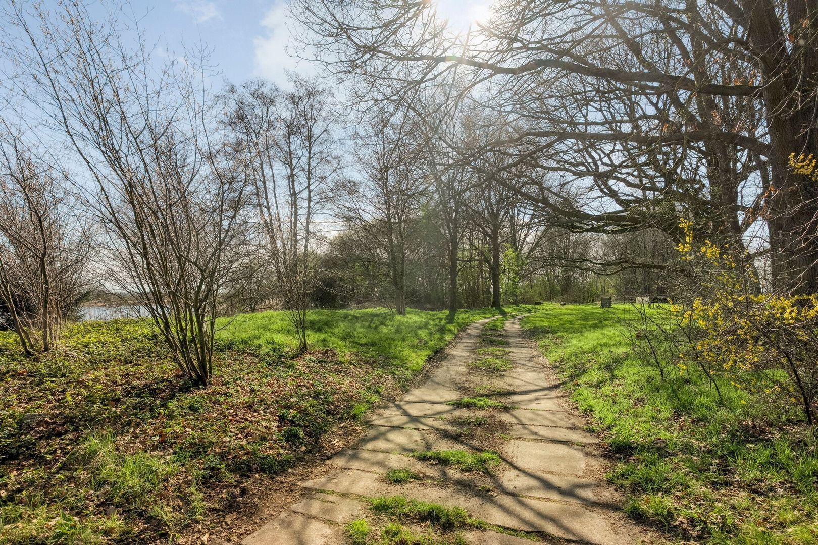 Holtien 11, Dwingeloo foto-67