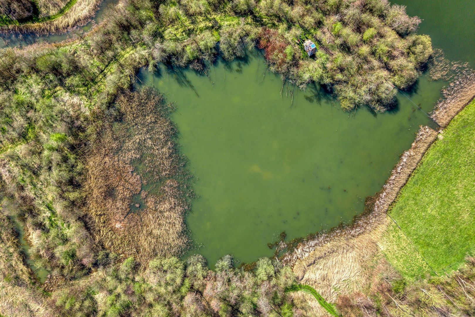 Holtien 11, Dwingeloo foto-69