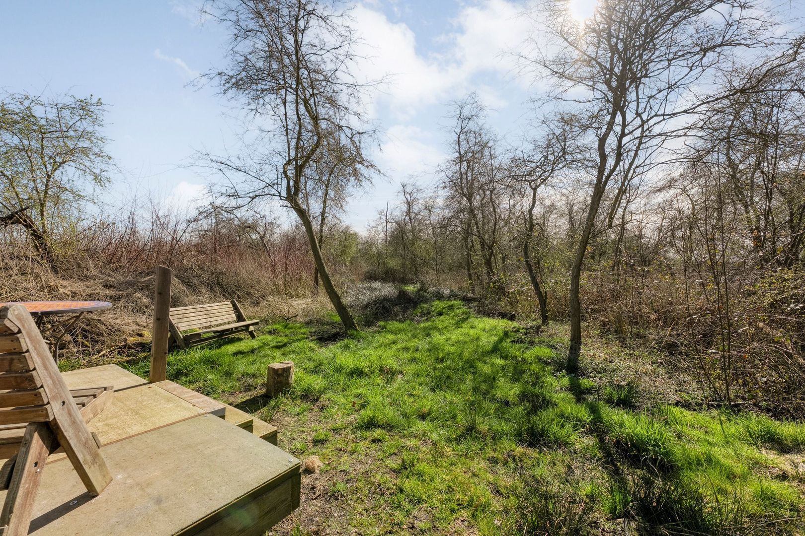 Holtien 11, Dwingeloo foto-53