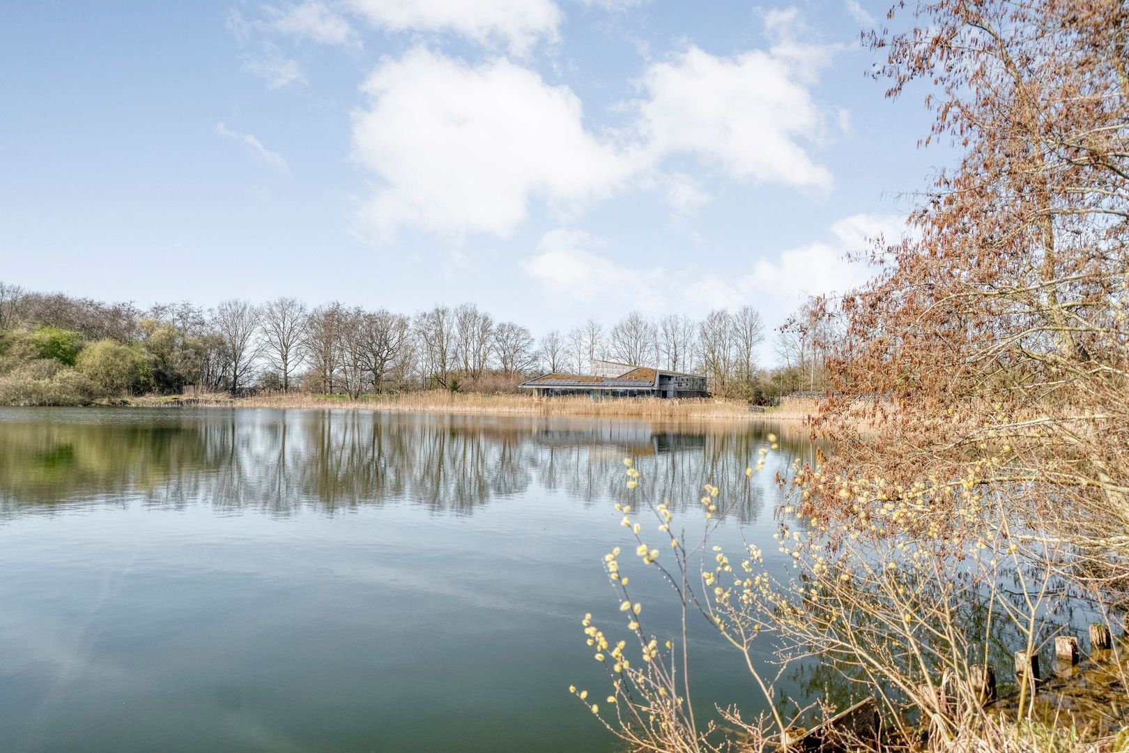 Holtien 11, Dwingeloo foto-76