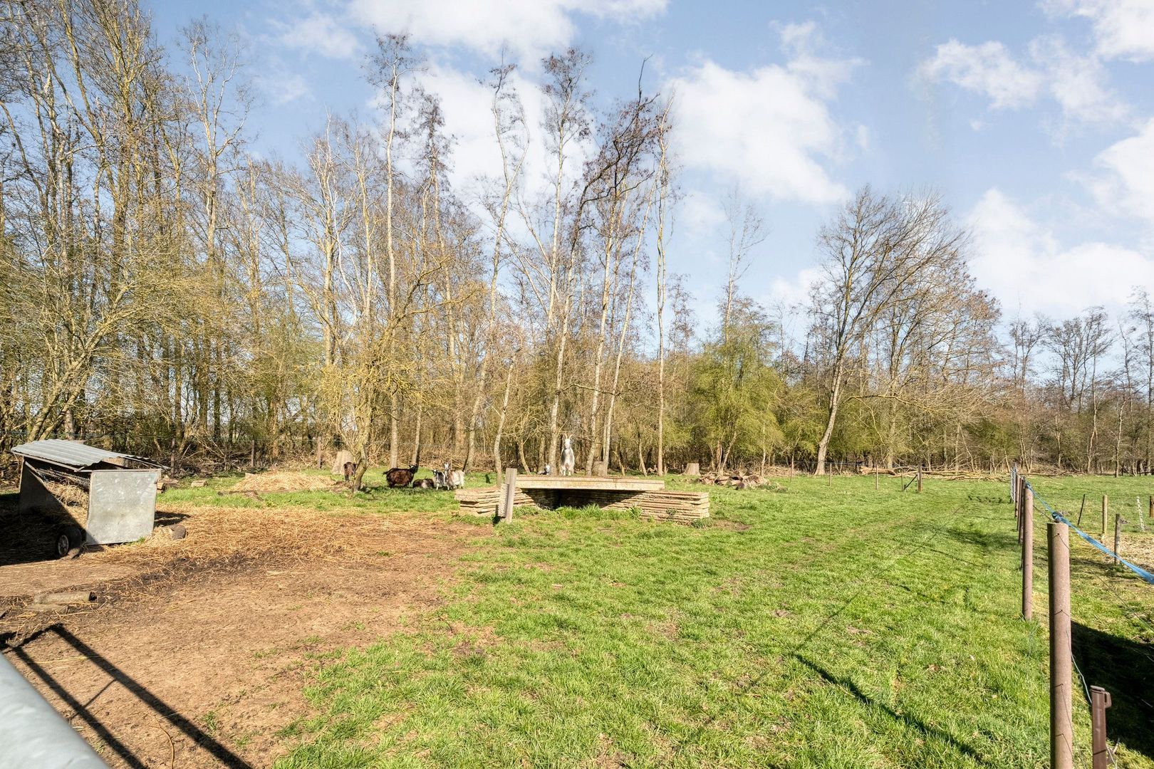 Holtien 11, Dwingeloo foto-57