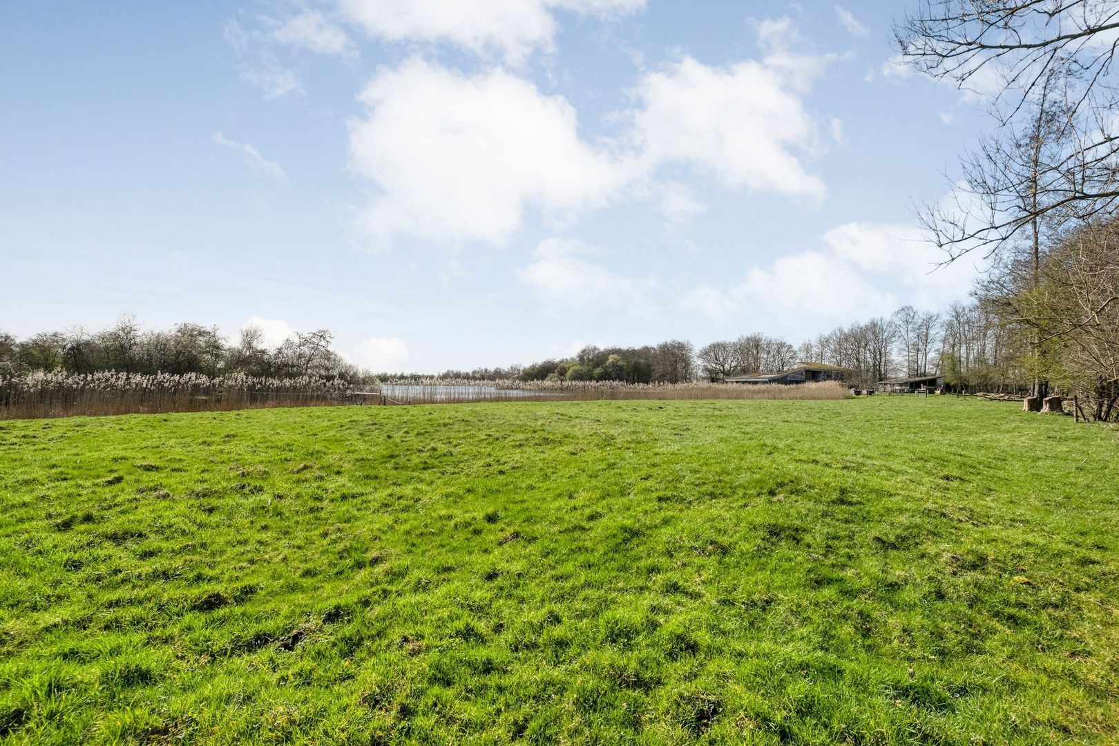 Holtien 11, Dwingeloo foto-55