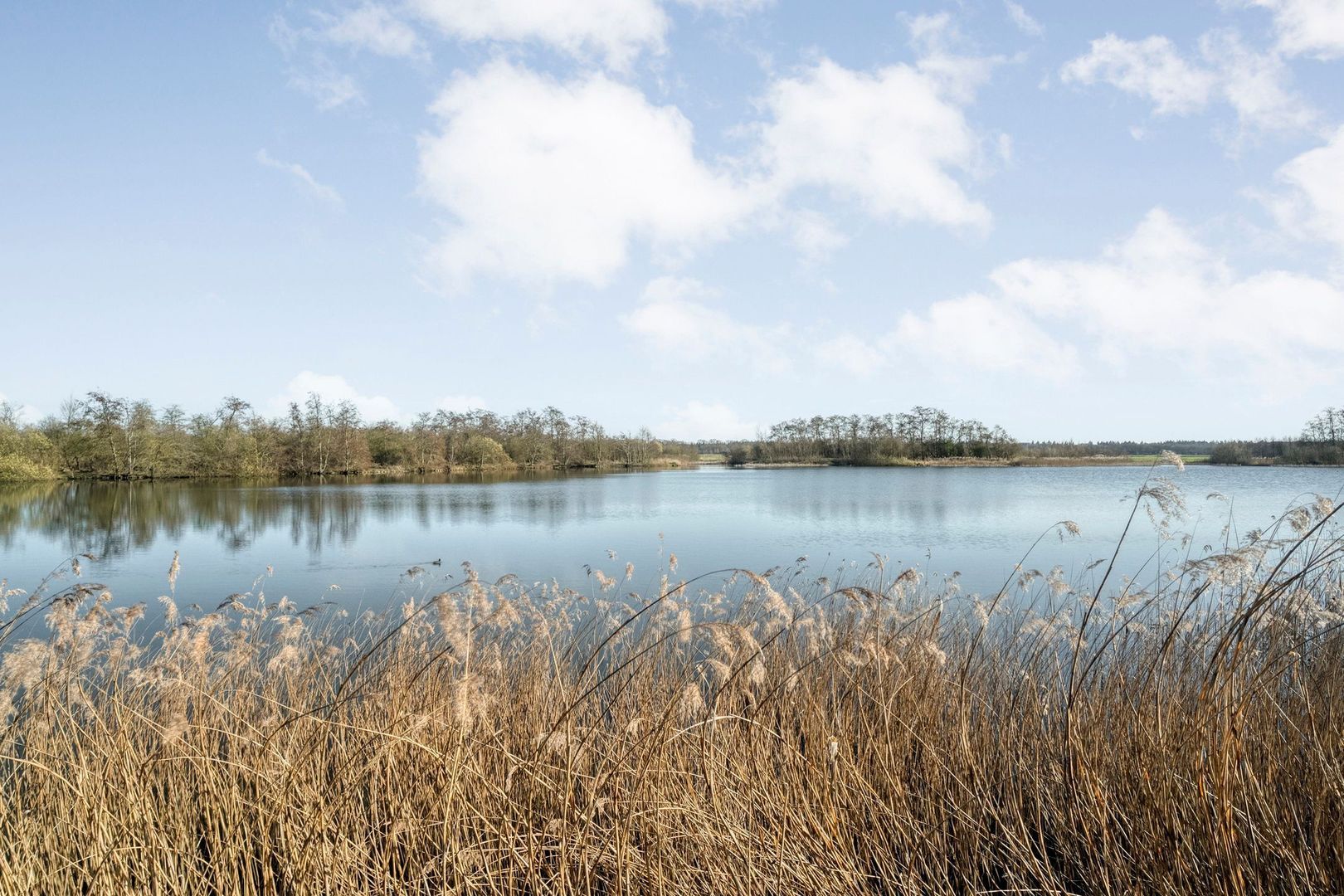 Holtien 11, Dwingeloo foto-34