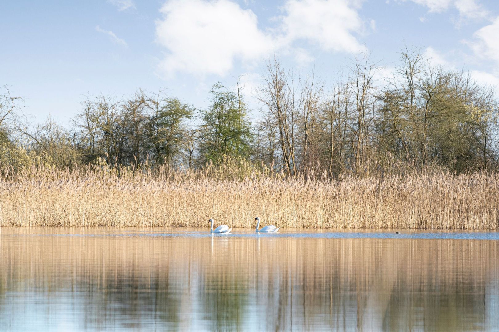 Holtien 11, Dwingeloo foto-61