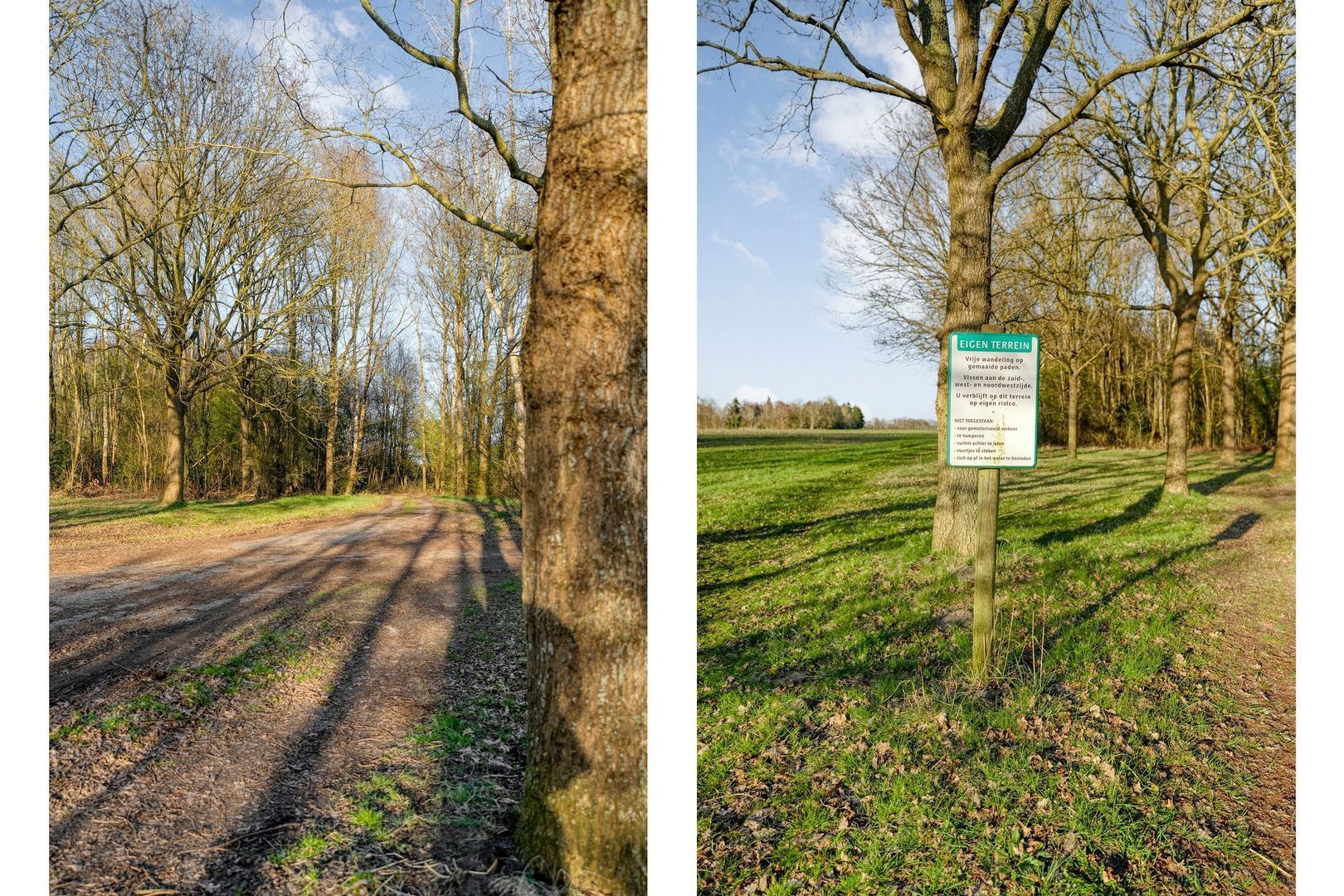 Holtien 11, Dwingeloo foto-65