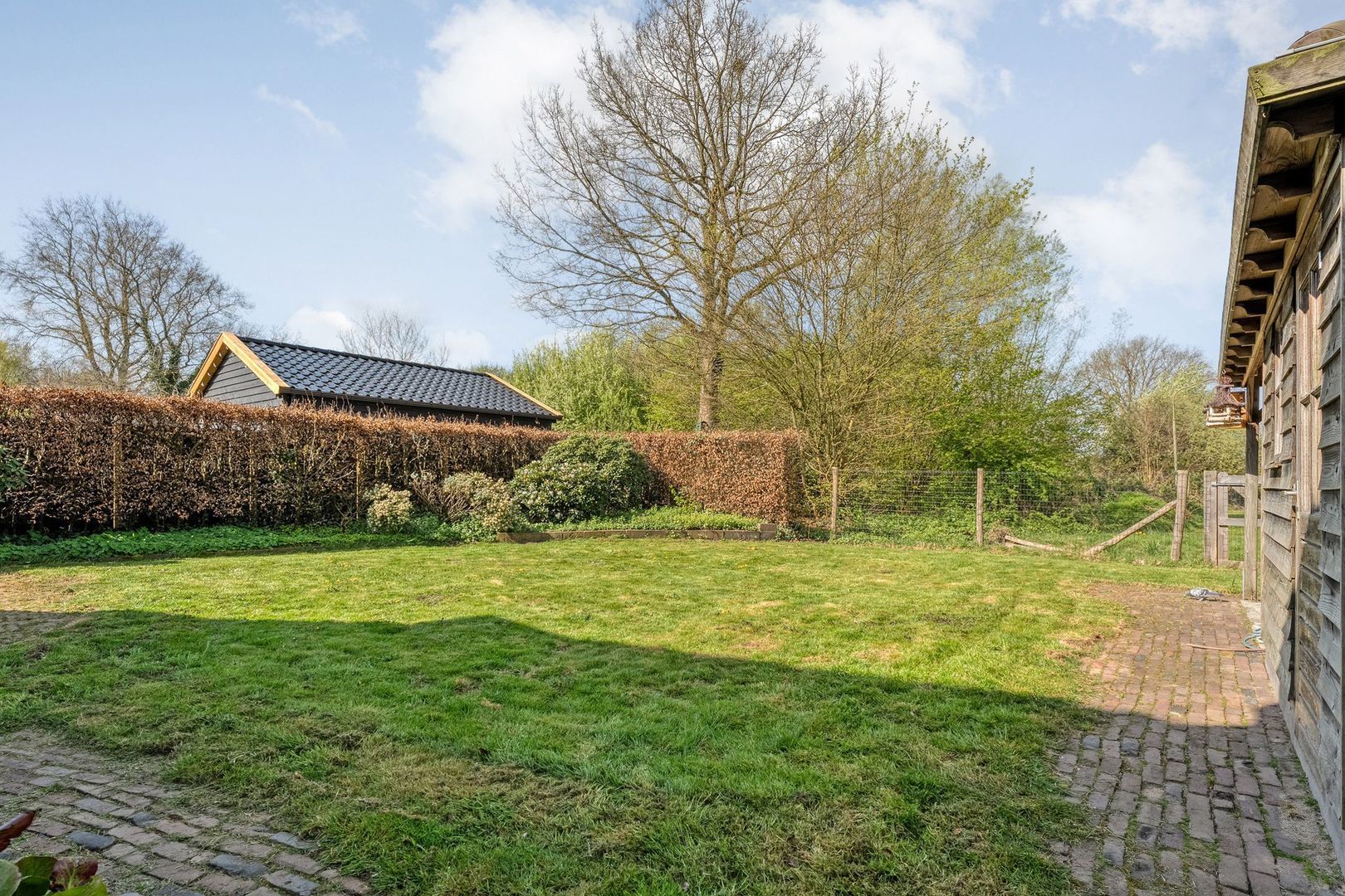 Sepiepenakkers 4, Diever foto-51