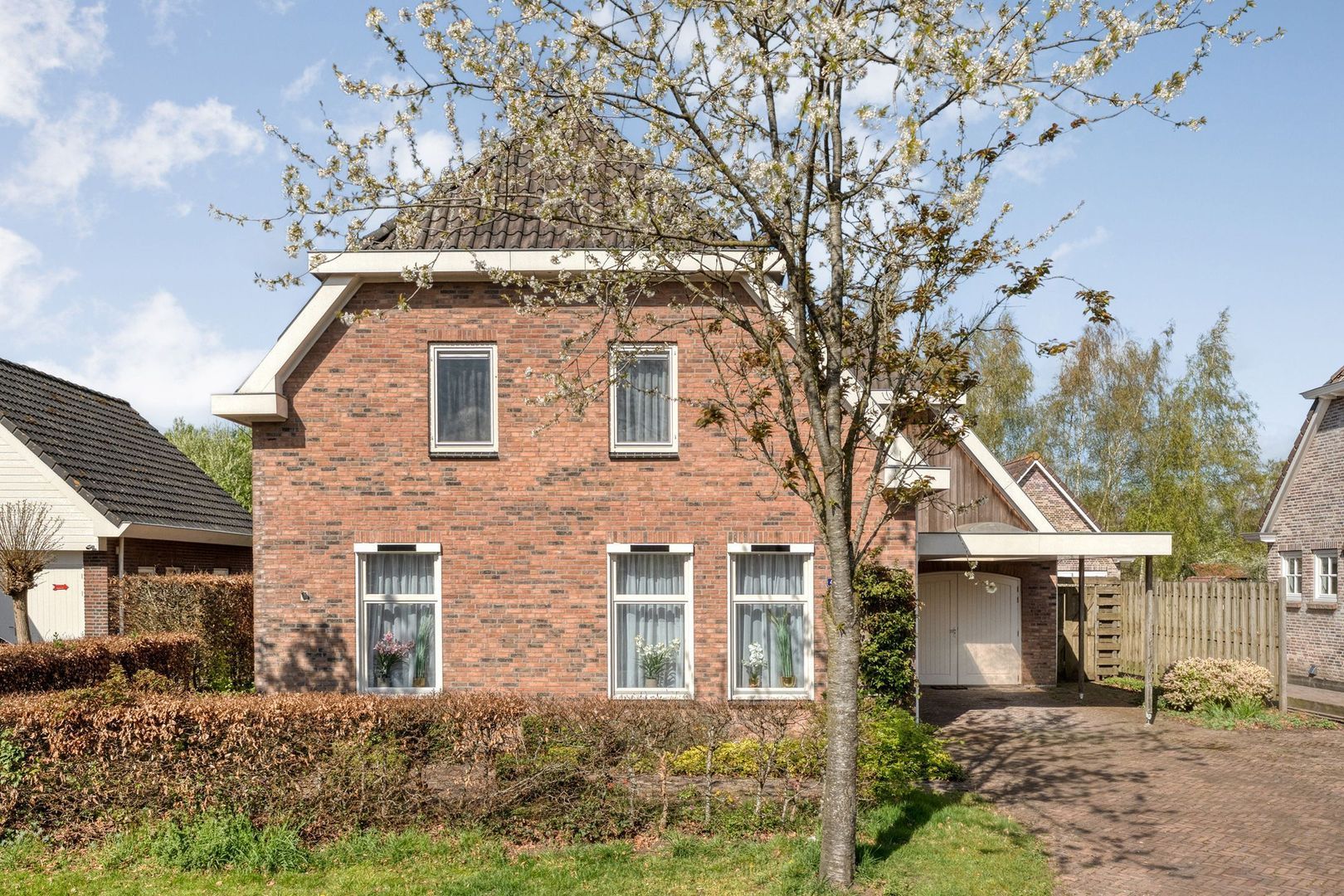 Sepiepenakkers 4, Diever foto-8