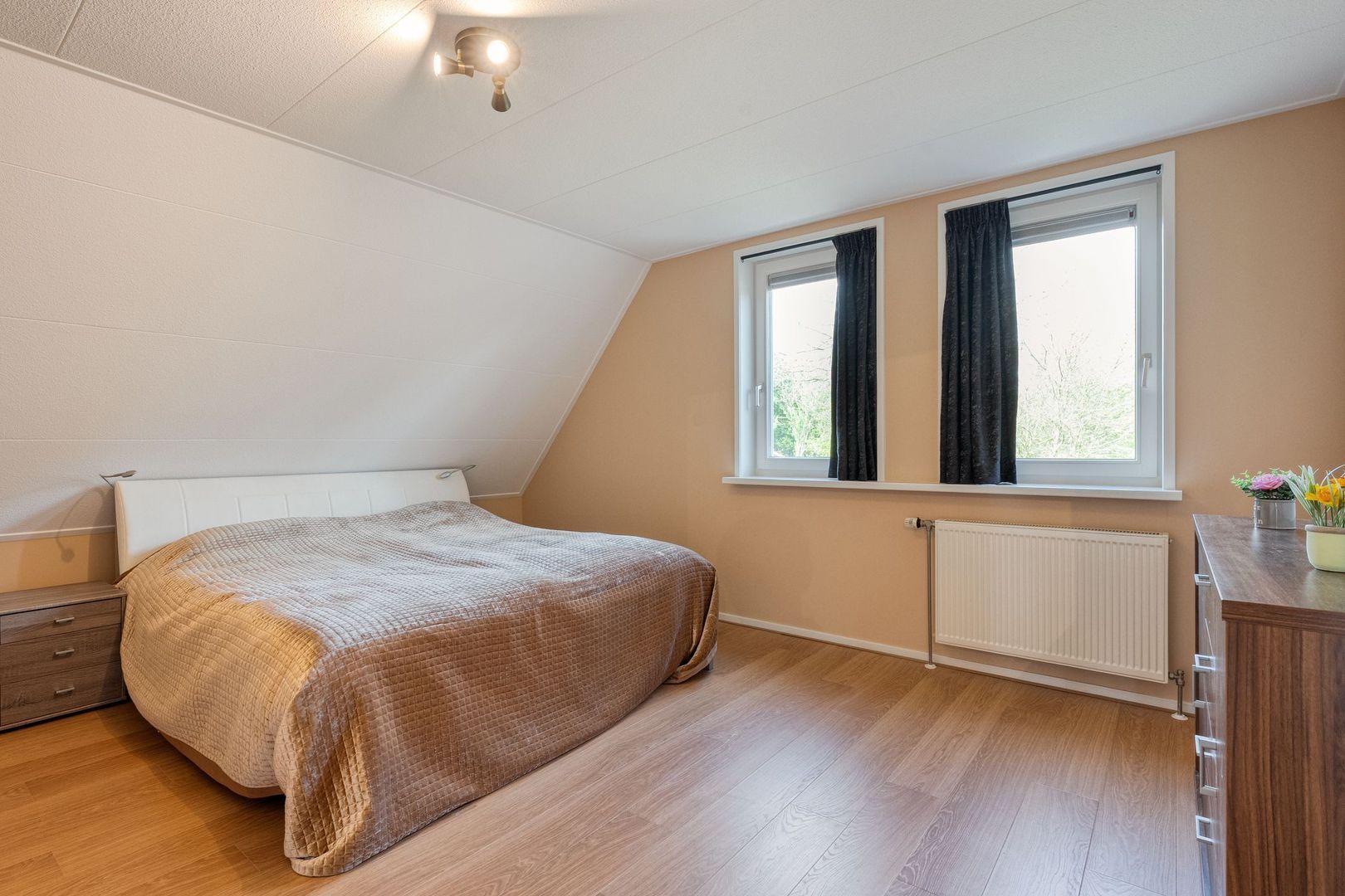 Sepiepenakkers 4, Diever foto-37