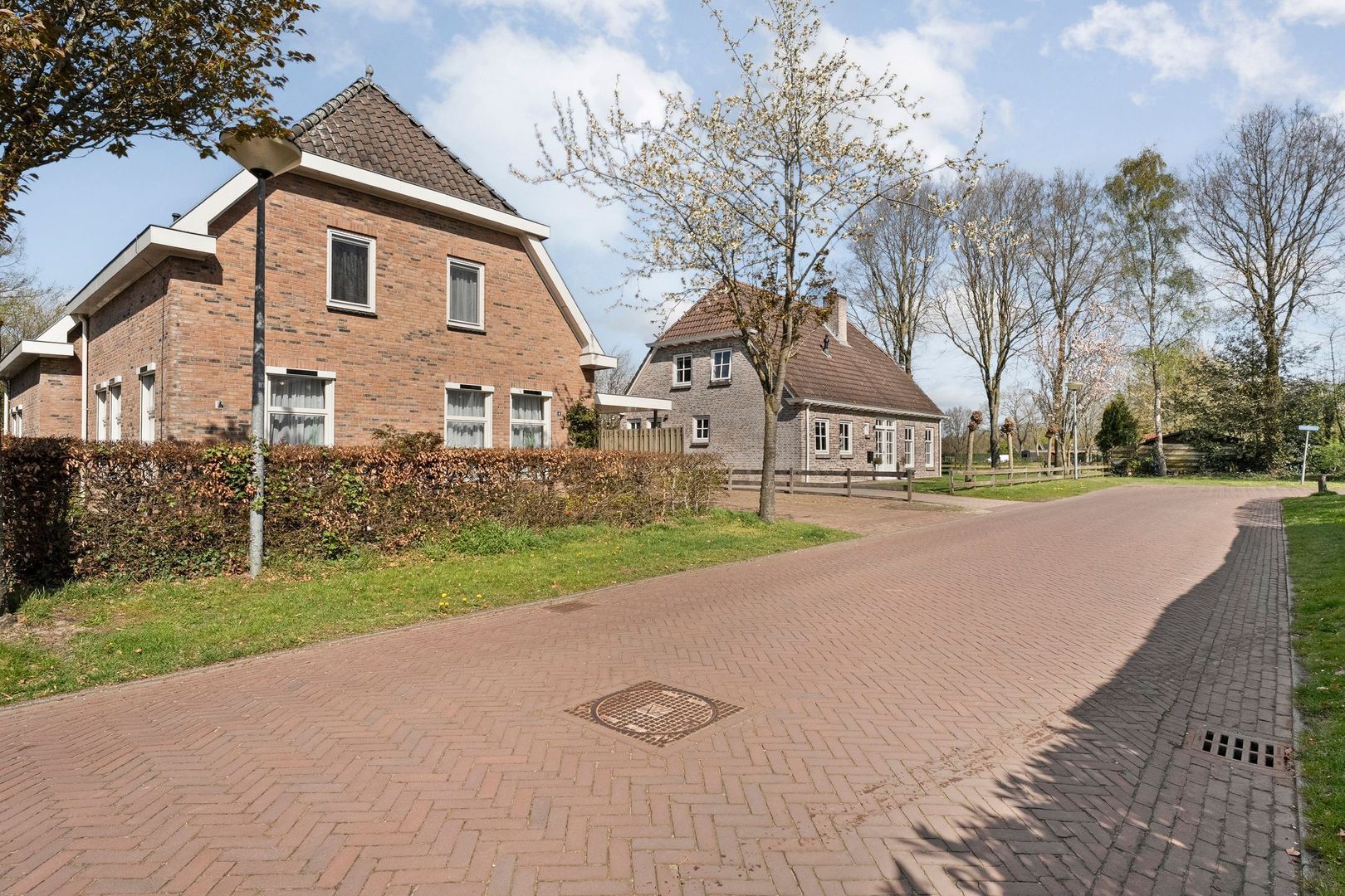 Sepiepenakkers 4, Diever foto-6