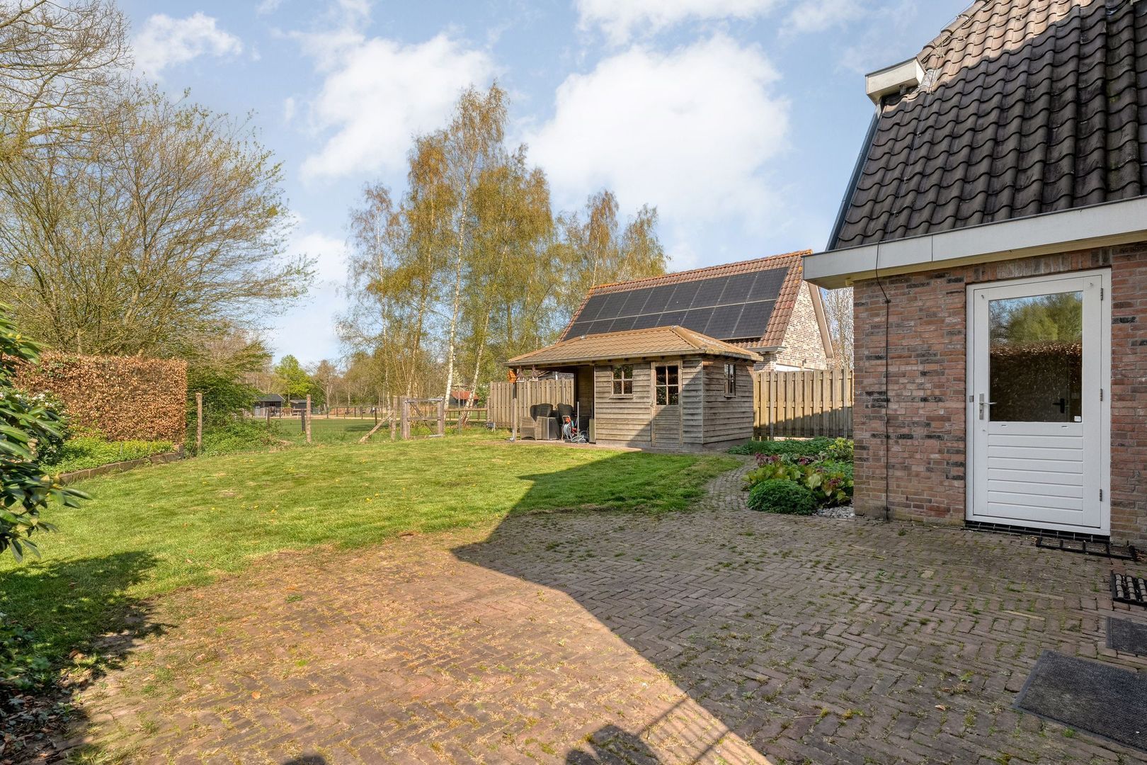 Sepiepenakkers 4, Diever foto-50