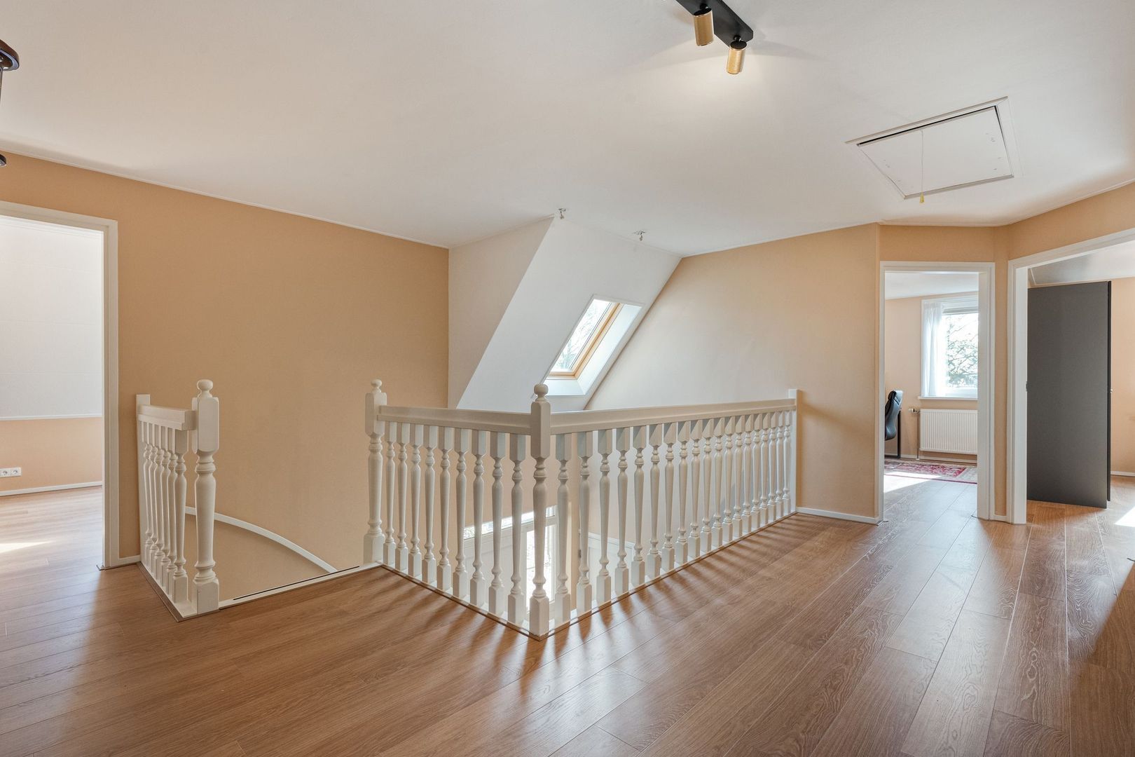 Sepiepenakkers 4, Diever foto-28