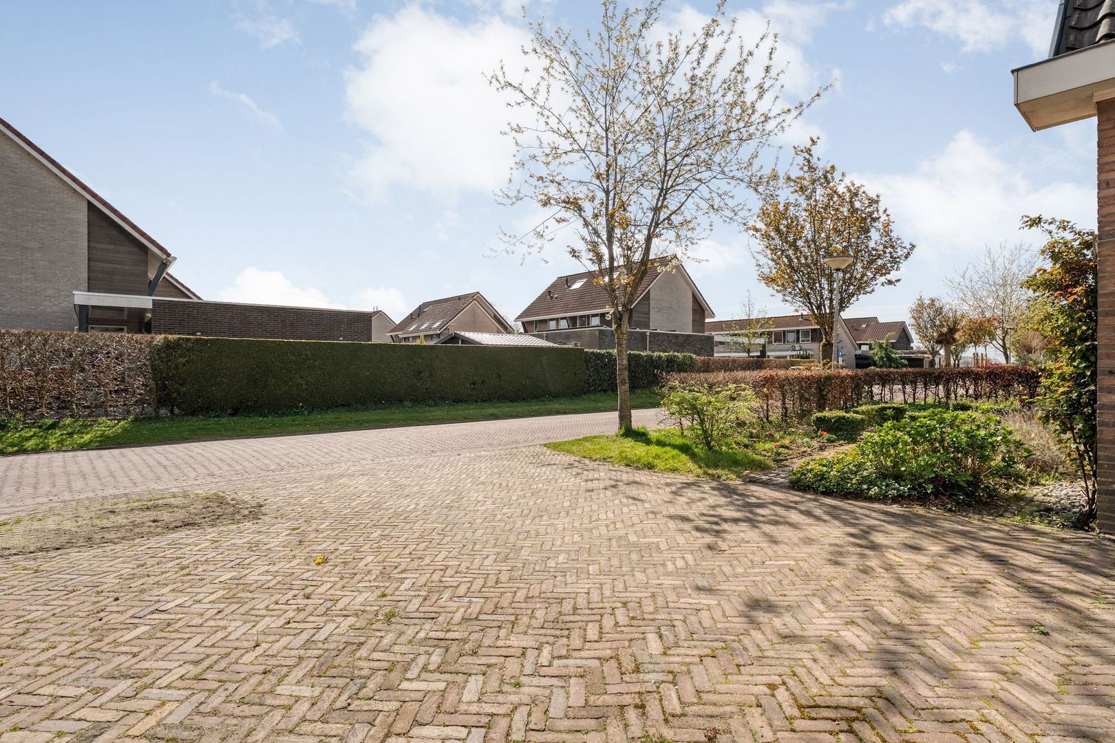 Sepiepenakkers 4, Diever foto-9