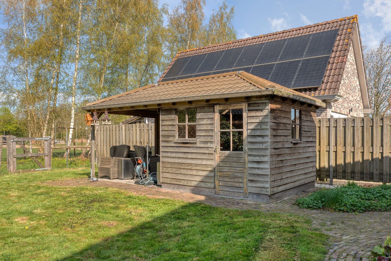 Sepiepenakkers 4, Diever foto-54