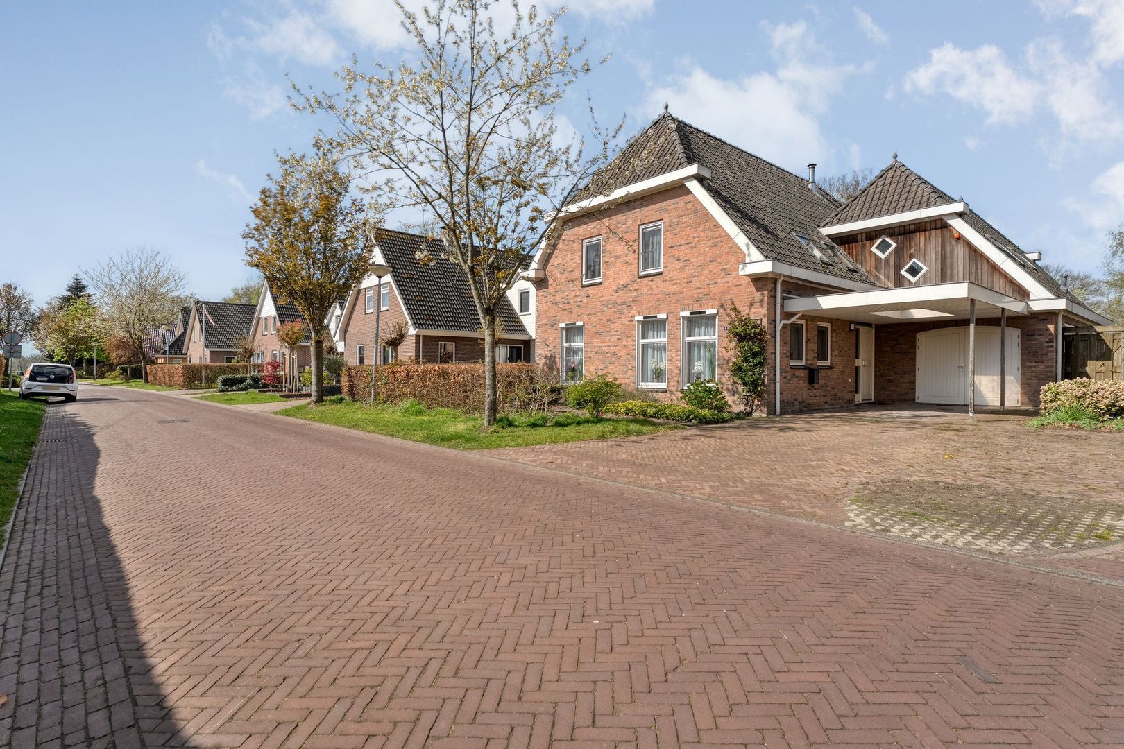 Sepiepenakkers 4, Diever foto-7