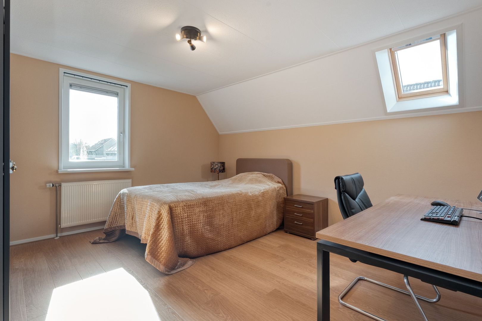 Sepiepenakkers 4, Diever foto-43