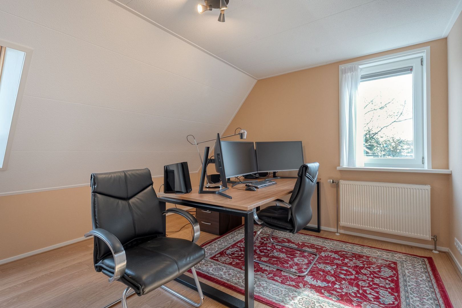 Sepiepenakkers 4, Diever foto-41