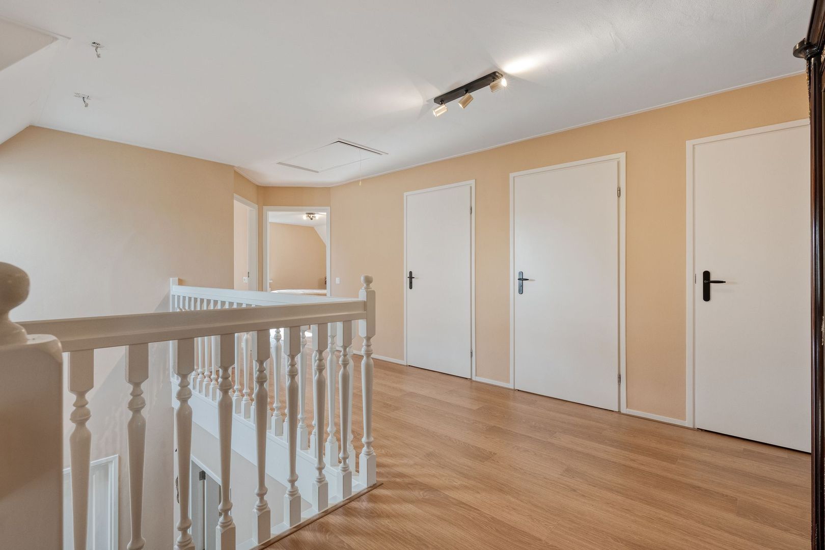 Sepiepenakkers 4, Diever foto-30