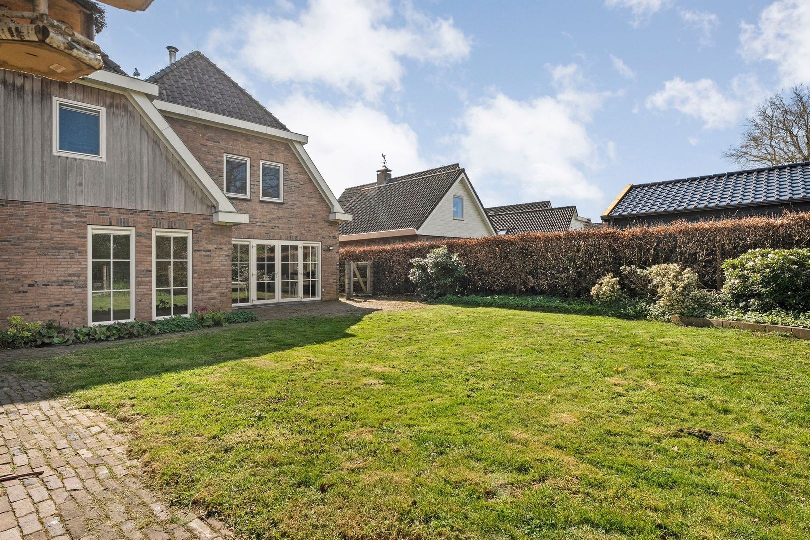 Sepiepenakkers 4, Diever foto-52