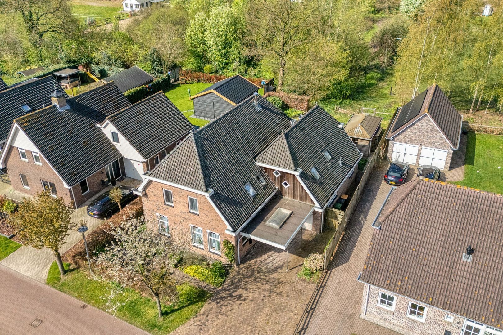 Sepiepenakkers 4, Diever foto-5