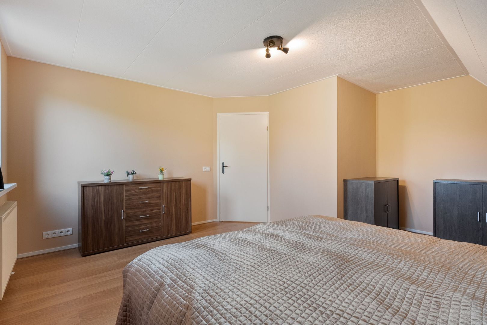 Sepiepenakkers 4, Diever foto-38