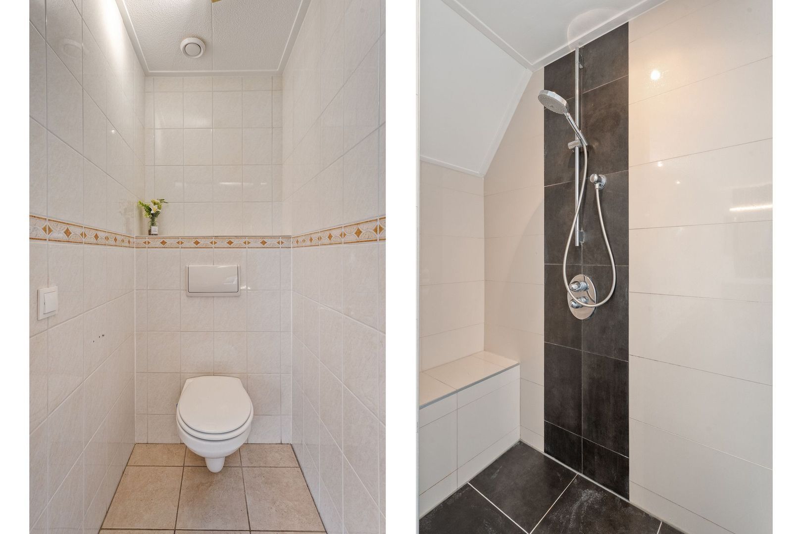 Sepiepenakkers 4, Diever foto-47