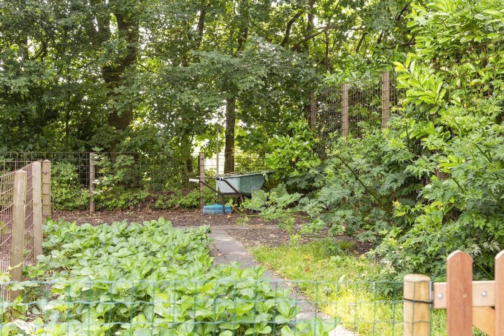 Beulakerweg 123, Giethoorn foto-49