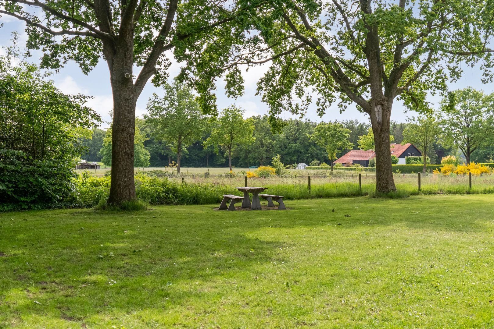 Ruiterweg 7, Darp foto-55