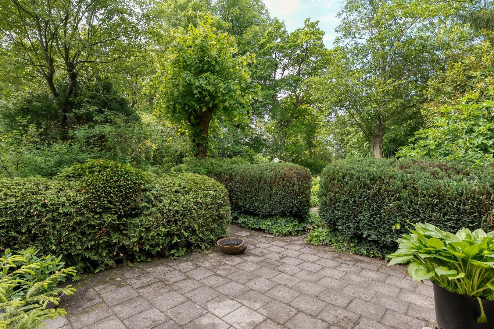 Ruiterweg 7, Darp foto-46