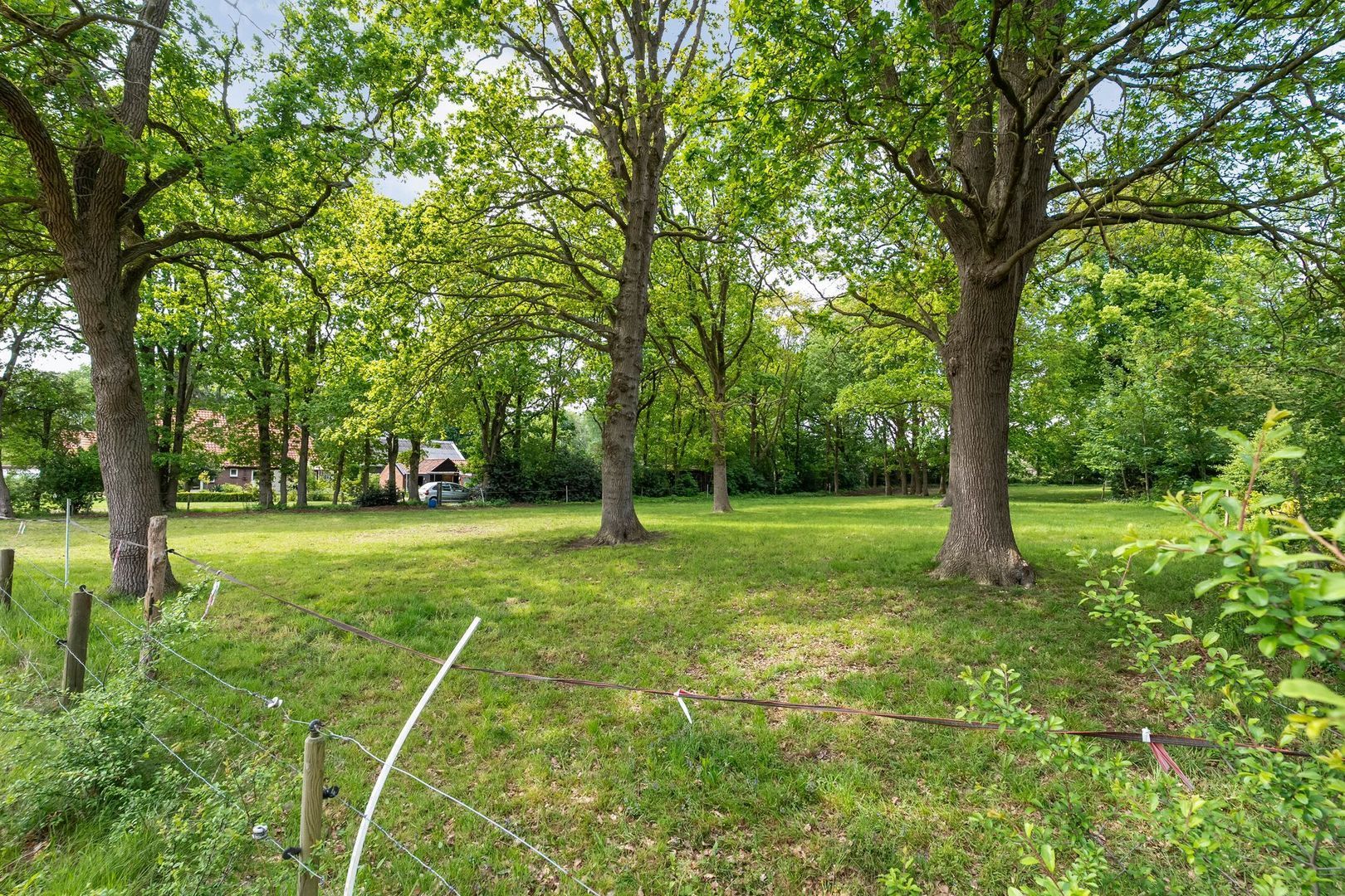 Ruiterweg 7, Darp foto-56