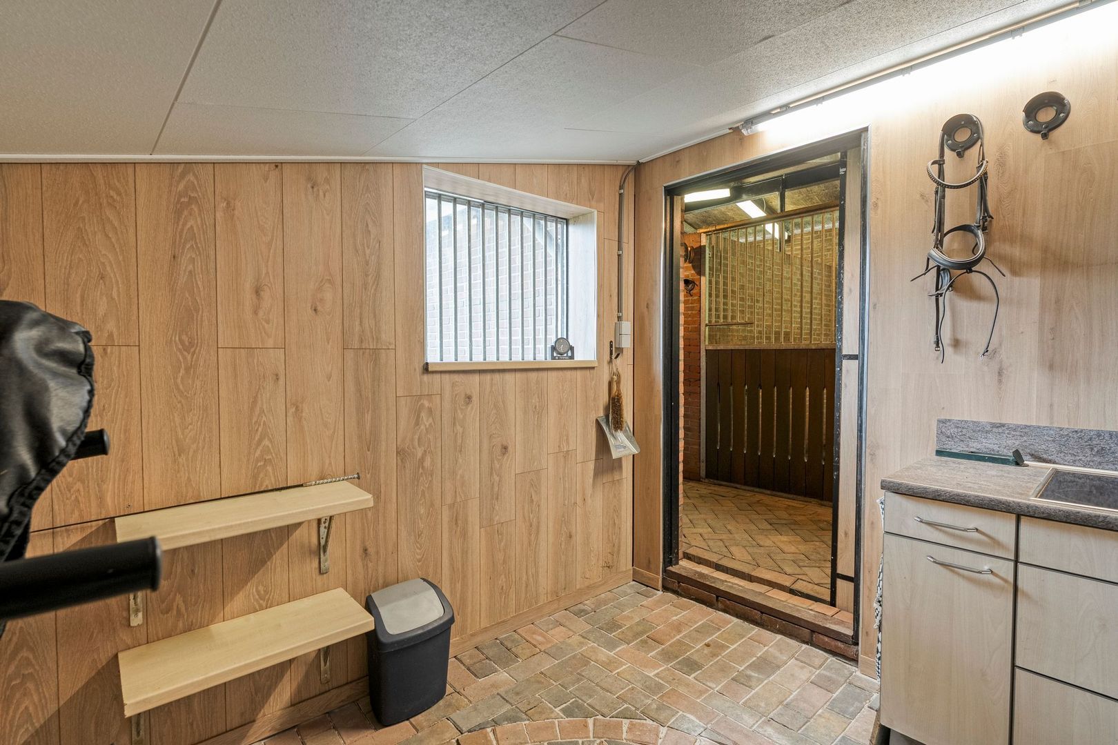 Meeuwenweg 23, Nieuw-Balinge foto-50