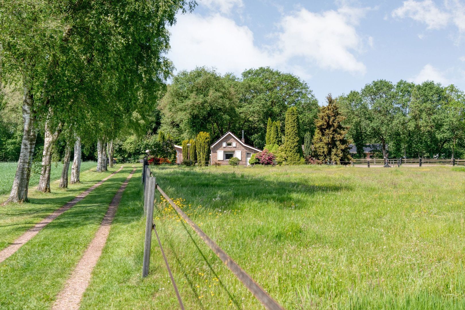 Meeuwenweg 23, Nieuw-Balinge foto-4