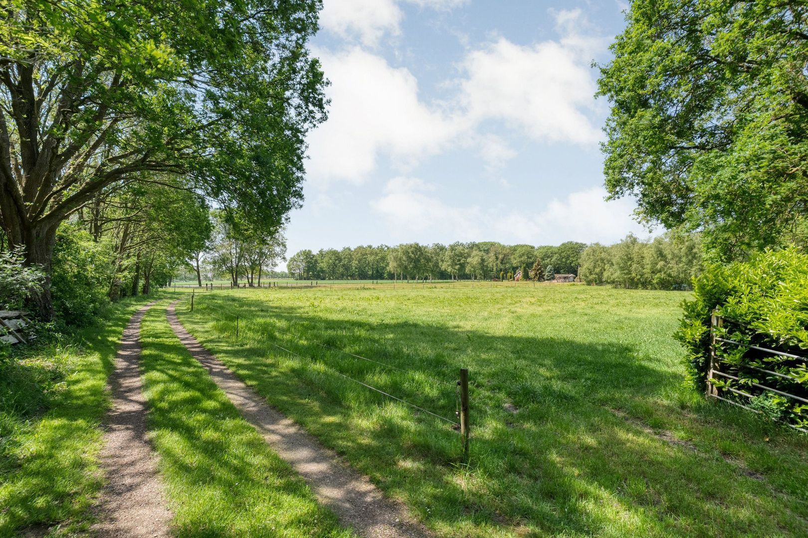 Meeuwenweg 23, Nieuw-Balinge foto-71